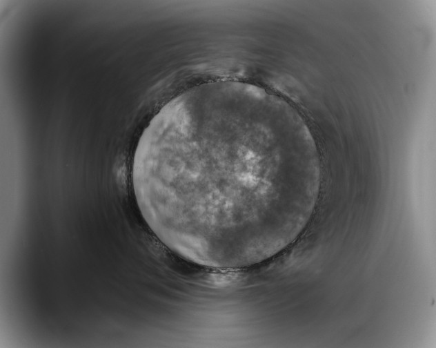 X0000088220720200705292113