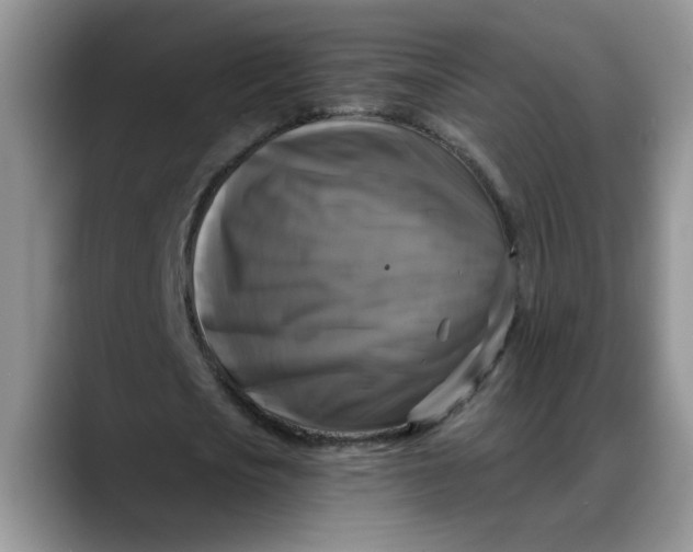 X0000088220721200705292112