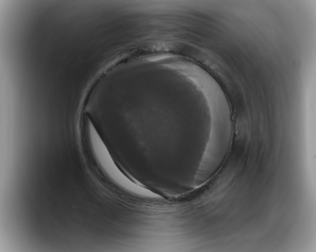 X0000088220722200705292113