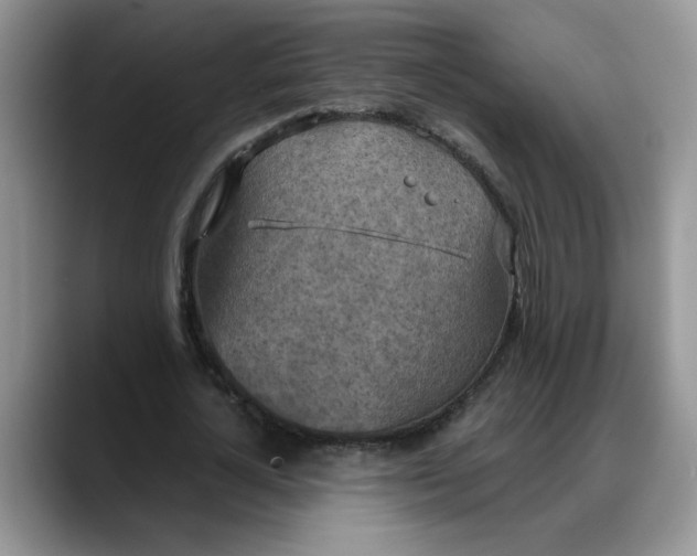 X0000088220724200705292113