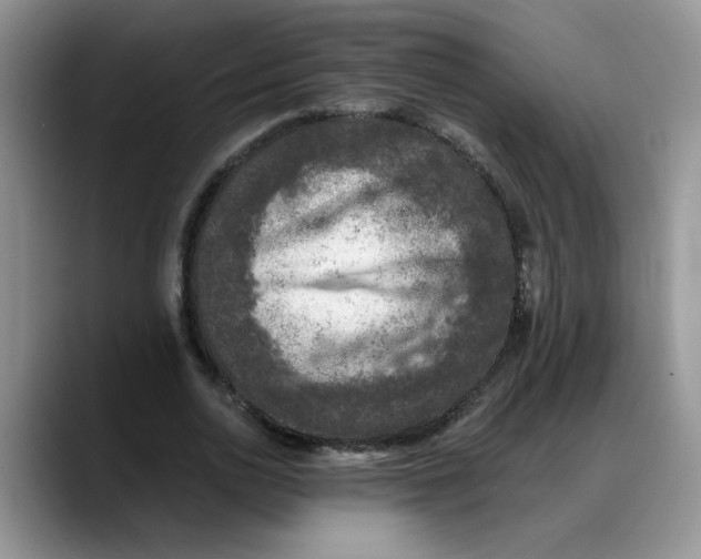 X0000088220726200705292113