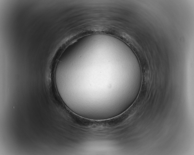 X0000088220727200705292113