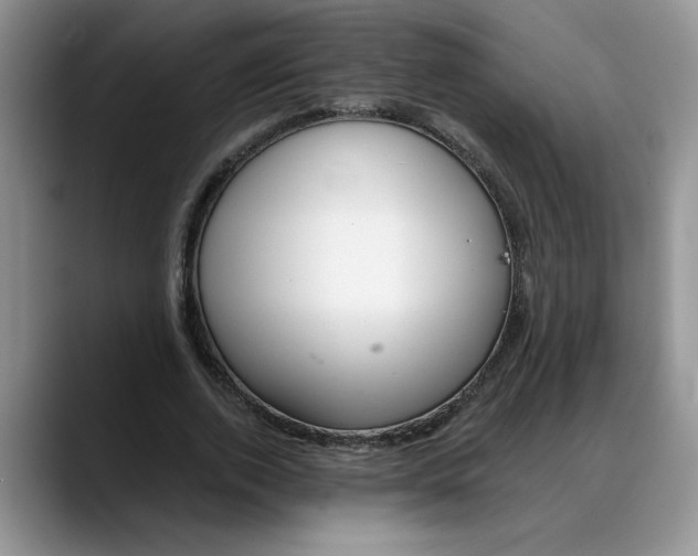 X0000088220728200705292113