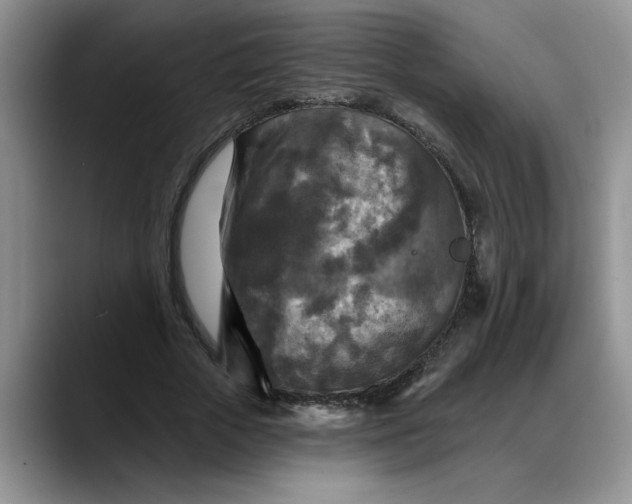 X0000088220729200705292113