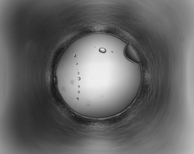 X0000088220732200705292113