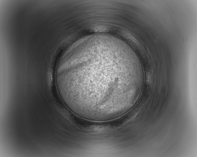 X0000088220733200705292113