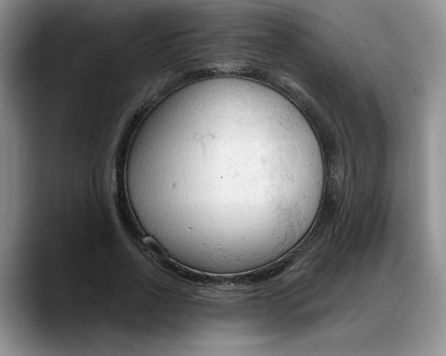 X0000088220734200705292113