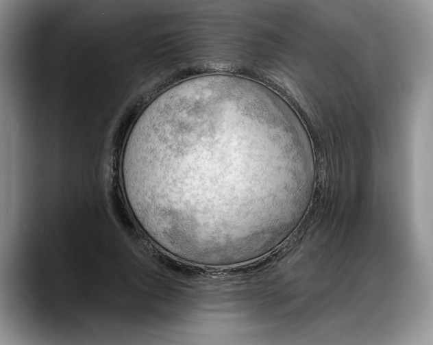 X0000088220736200705292113