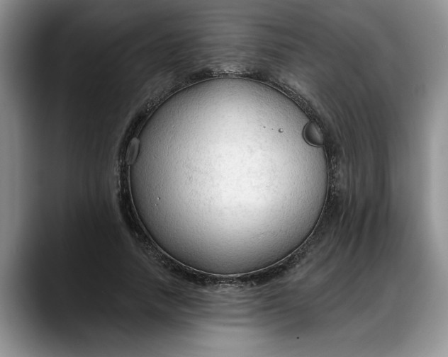 X0000088220738200705292113