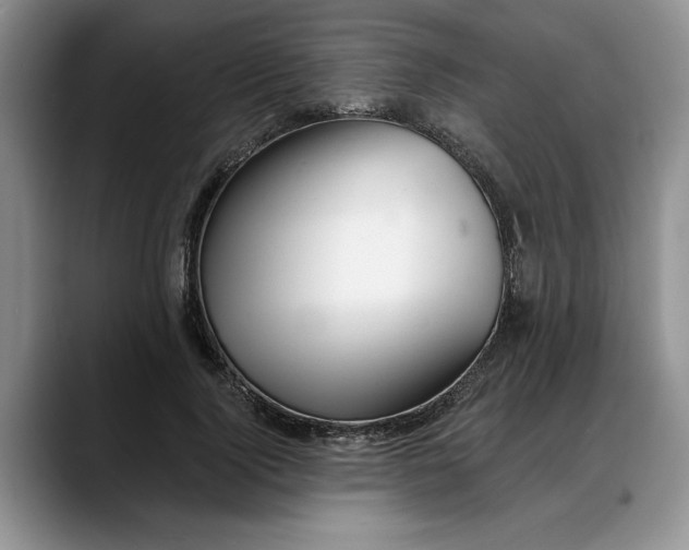 X0000088220740200705292113