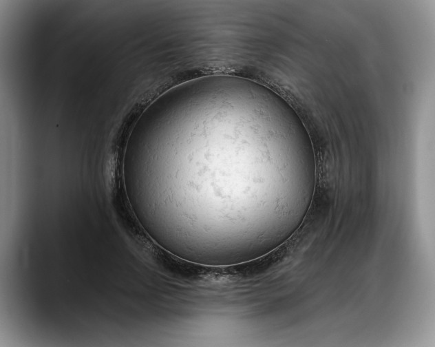 X0000088220742200705292113