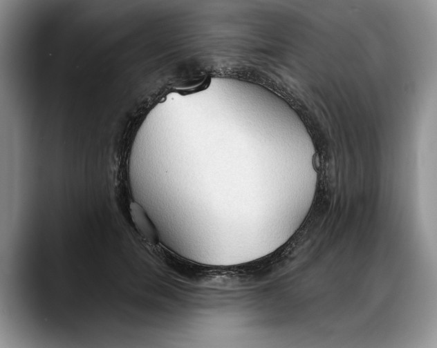 X0000088220750200705292113