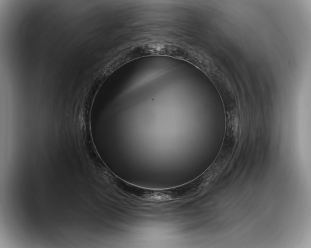 X0000088220754200705292113