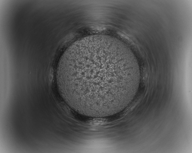 X0000088220758200705292113