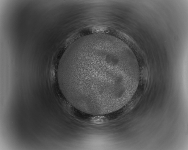 X0000088220761200705292113