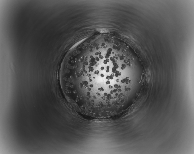 X0000088220763200705292113