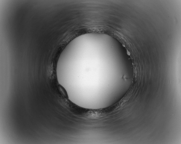 X0000088220764200705292113