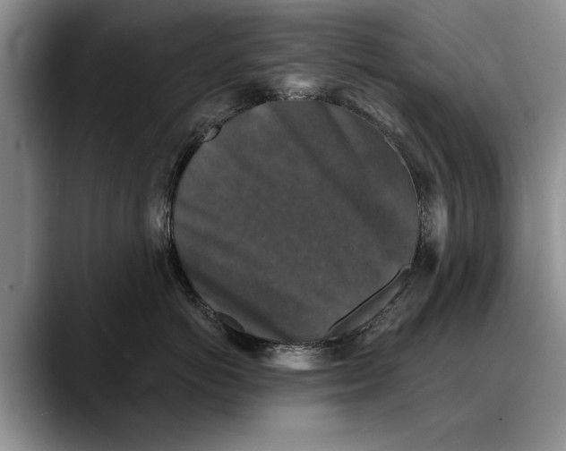 X0000088220766200705292113