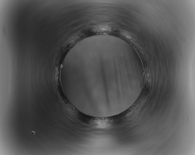 X0000088220767200705292113