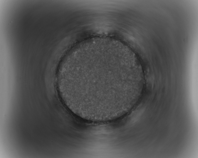 X0000088220769200705292112