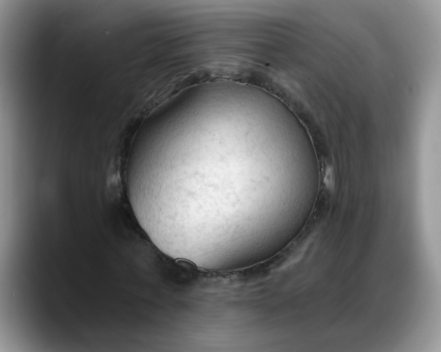 X0000088220771200705292112