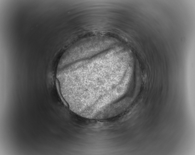 X0000088220772200705292112