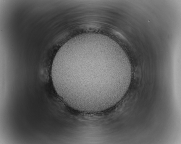 X0000088220774200705292112