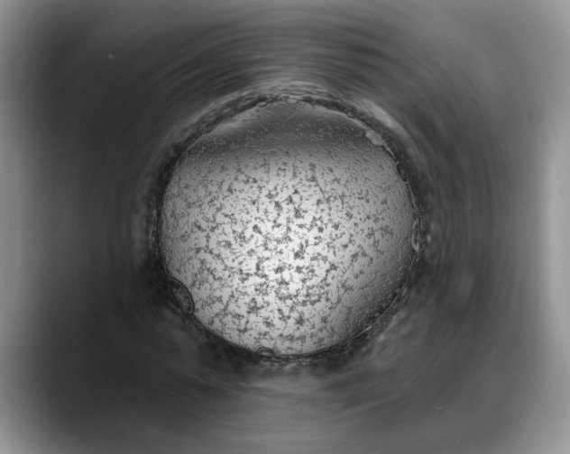 X0000088220775200705292112