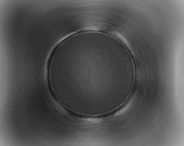 X0000088220779200705292112