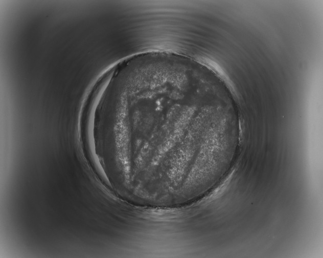 X0000088220780200705292112