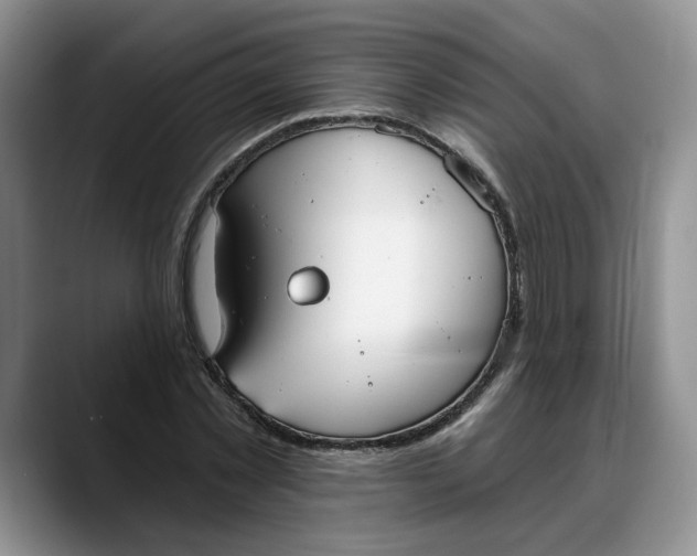 X0000088220781200705292112