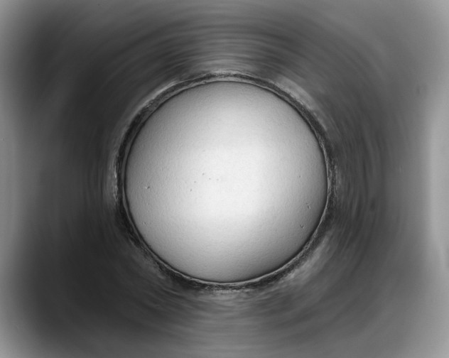 X0000088220782200705292112