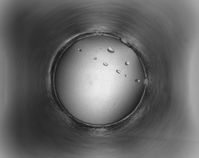 X0000088220784200705292112