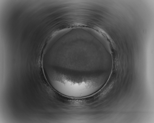 X0000088220785200705292112