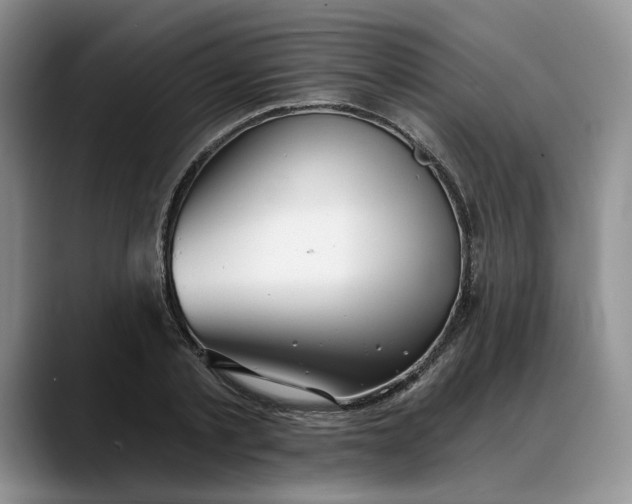 X0000088220789200705292112