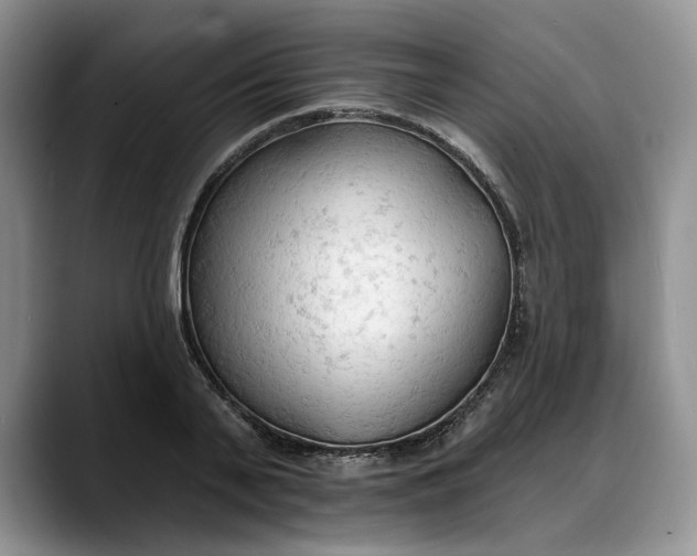 X0000088220791200705292112