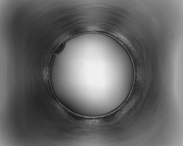 X0000088220793200705292112