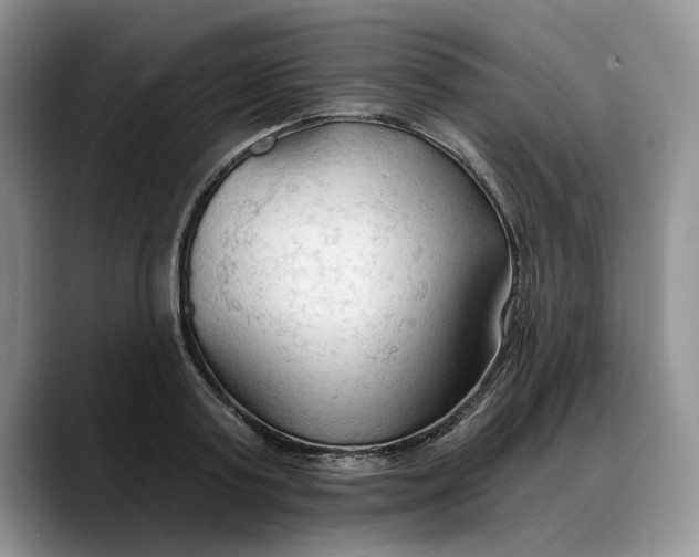 X0000088220795200705292112