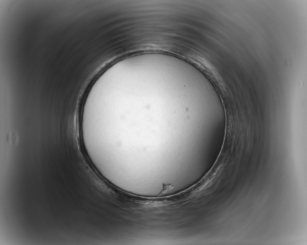 X0000088220796200705292112