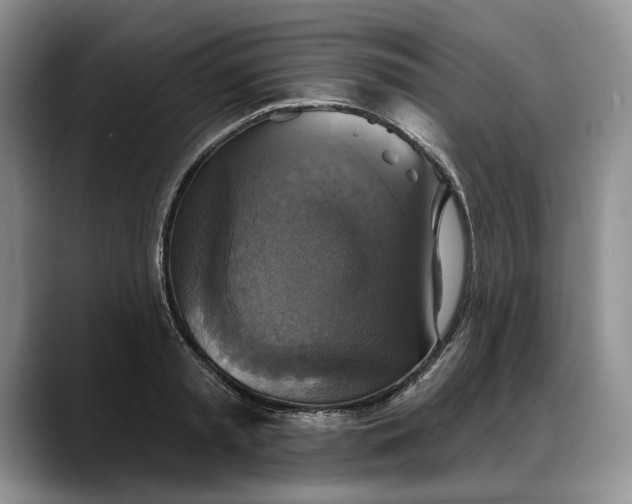 X0000088220797200705292112