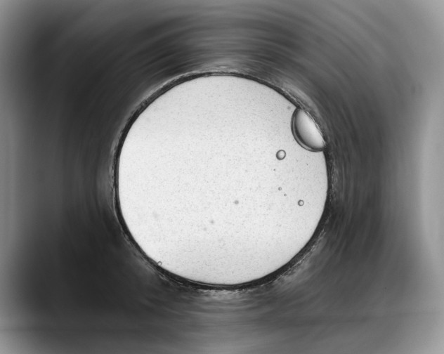 X0000088220800200705292112