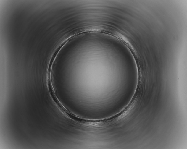 X0000088220802200705292112