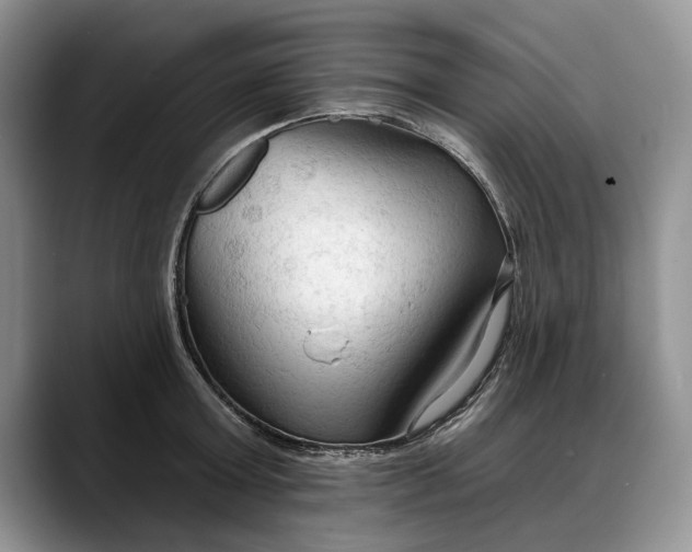 X0000088220803200705292112