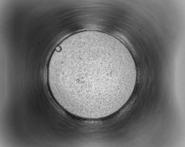 X0000088220804200705292112