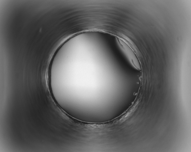 X0000088220812200705292112