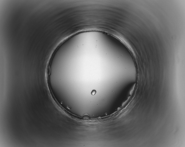 X0000088220813200705292112