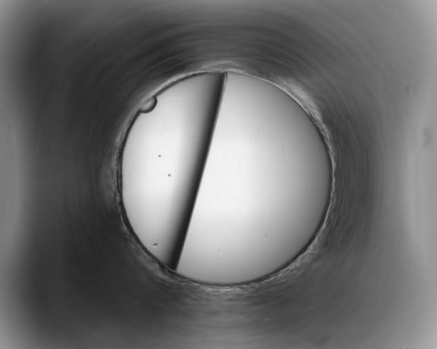 X0000088220816200705292112