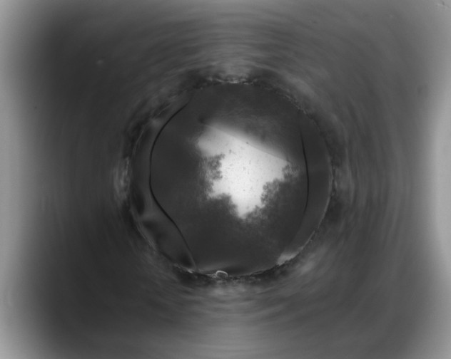 X0000088220818200705292111