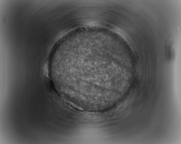 X0000088220823200705292111