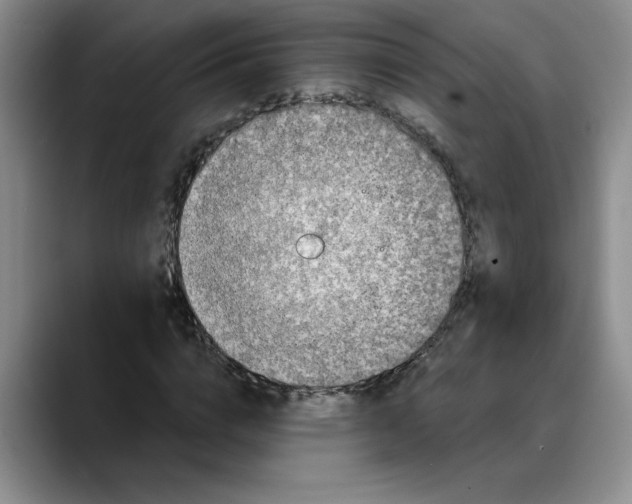 X0000088220824200705292111